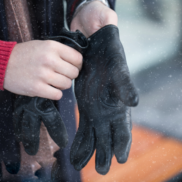 Winter Gloves